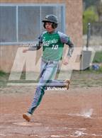 Photo from the gallery "Mora @ Penasco"