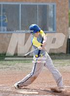 Photo from the gallery "Mora @ Penasco"