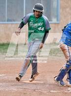 Photo from the gallery "Mora @ Penasco"