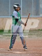 Photo from the gallery "Mora @ Penasco"