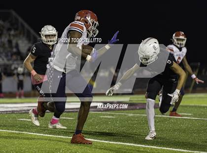 Thumbnail 3 in Manatee @ Braden River photogallery.