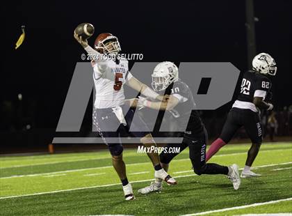 Thumbnail 2 in Manatee @ Braden River photogallery.