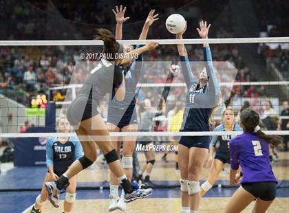 Thumbnail 1 in Valor Christian vs. Holy Family (CHSAA 4A Semifinal) photogallery.