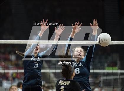 Thumbnail 2 in Valor Christian vs. Holy Family (CHSAA 4A Semifinal) photogallery.