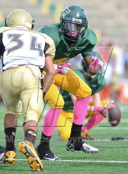 Thumbnail 2 in Serra @ Patrick Henry photogallery.