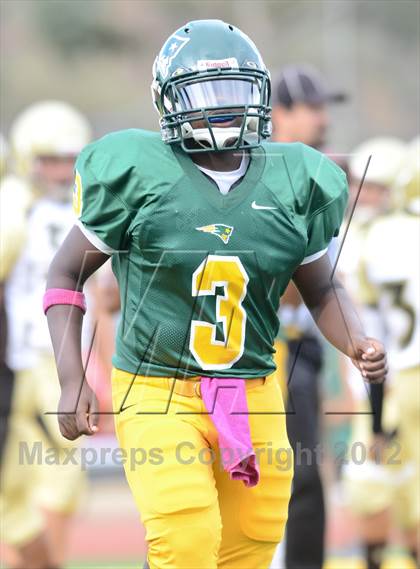 Thumbnail 1 in Serra @ Patrick Henry photogallery.
