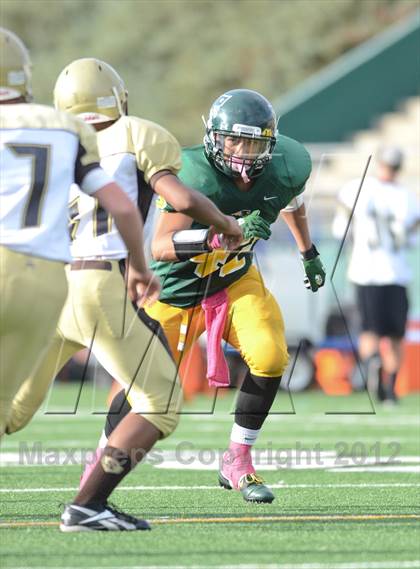 Thumbnail 2 in Serra @ Patrick Henry photogallery.