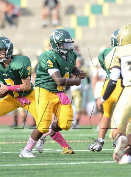 Thumbnail 2 in Serra @ Patrick Henry photogallery.