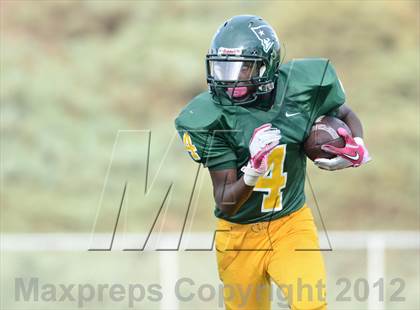 Thumbnail 2 in Serra @ Patrick Henry photogallery.
