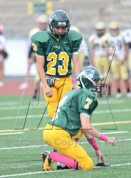 Thumbnail 2 in Serra @ Patrick Henry photogallery.