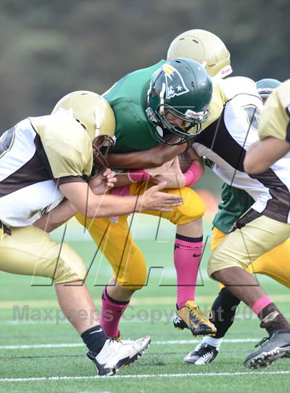 Thumbnail 3 in Serra @ Patrick Henry photogallery.