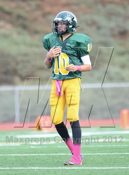 Thumbnail 3 in Serra @ Patrick Henry photogallery.
