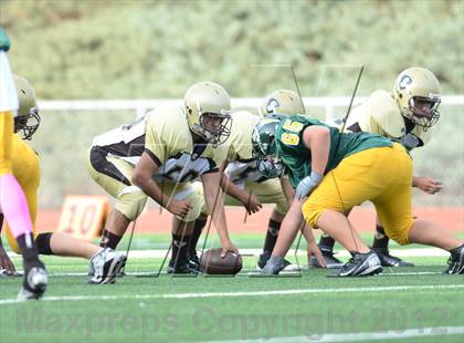 Thumbnail 3 in Serra @ Patrick Henry photogallery.