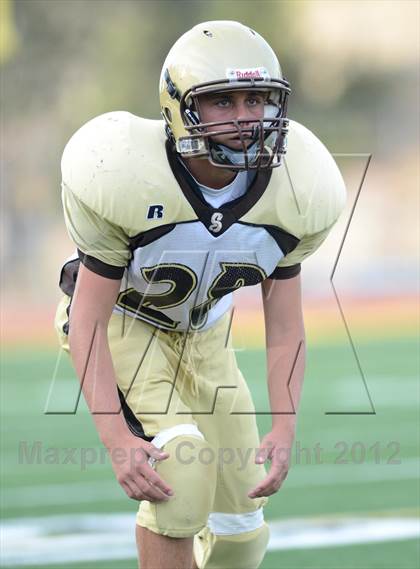Thumbnail 3 in Serra @ Patrick Henry photogallery.