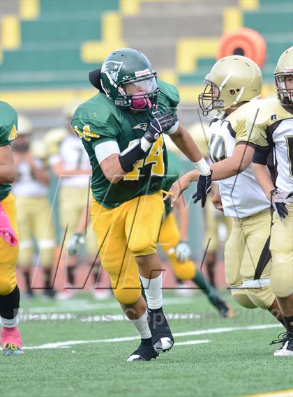 Thumbnail 2 in Serra @ Patrick Henry photogallery.