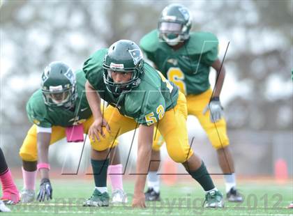Thumbnail 2 in Serra @ Patrick Henry photogallery.