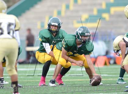 Thumbnail 3 in Serra @ Patrick Henry photogallery.