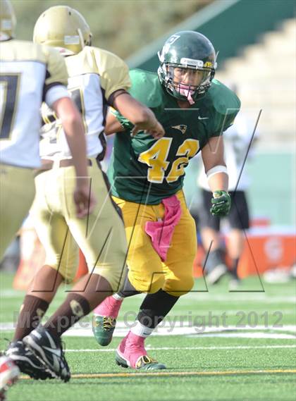 Thumbnail 3 in Serra @ Patrick Henry photogallery.