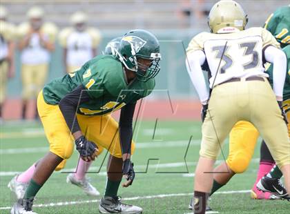 Thumbnail 1 in Serra @ Patrick Henry photogallery.