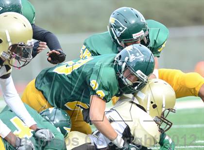 Thumbnail 2 in Serra @ Patrick Henry photogallery.