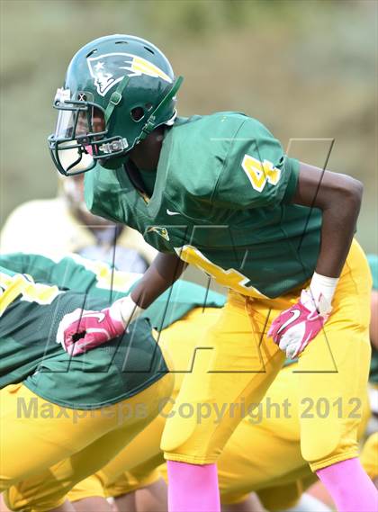 Thumbnail 2 in Serra @ Patrick Henry photogallery.