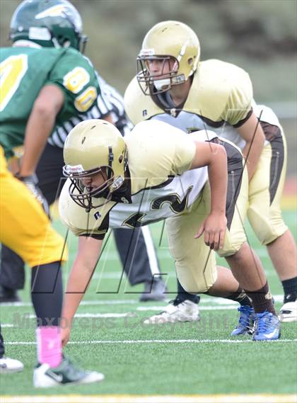 Thumbnail 2 in Serra @ Patrick Henry photogallery.