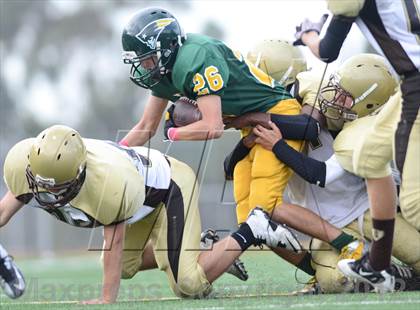 Thumbnail 3 in Serra @ Patrick Henry photogallery.