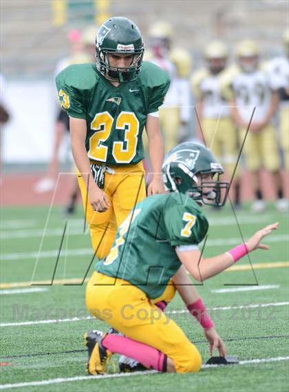 Thumbnail 3 in Serra @ Patrick Henry photogallery.