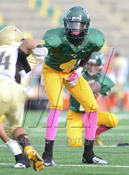 Thumbnail 3 in Serra @ Patrick Henry photogallery.