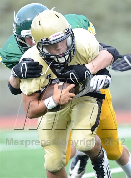 Thumbnail 3 in Serra @ Patrick Henry photogallery.