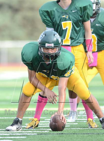 Thumbnail 1 in Serra @ Patrick Henry photogallery.
