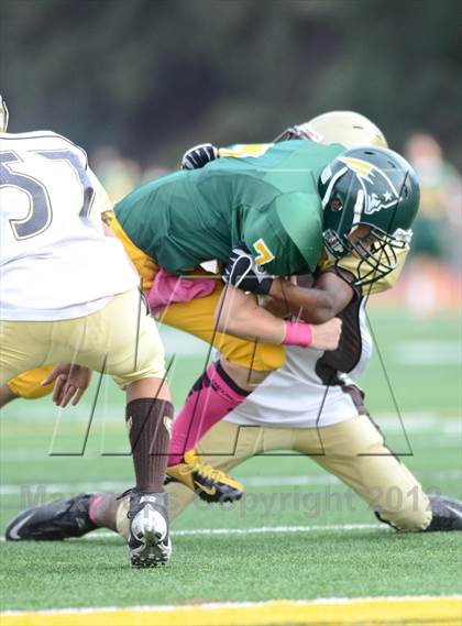 Thumbnail 2 in Serra @ Patrick Henry photogallery.