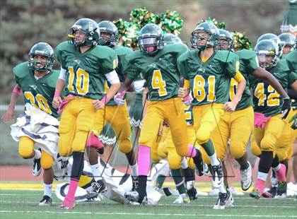 Thumbnail 3 in Serra @ Patrick Henry photogallery.