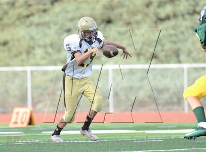 Thumbnail 3 in Serra @ Patrick Henry photogallery.