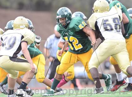 Thumbnail 3 in Serra @ Patrick Henry photogallery.