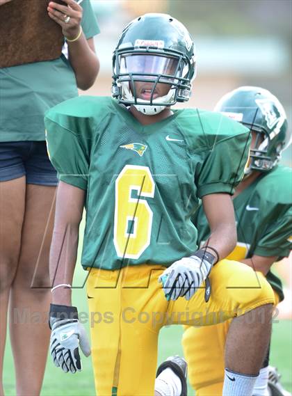 Thumbnail 3 in Serra @ Patrick Henry photogallery.