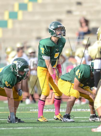 Thumbnail 1 in Serra @ Patrick Henry photogallery.