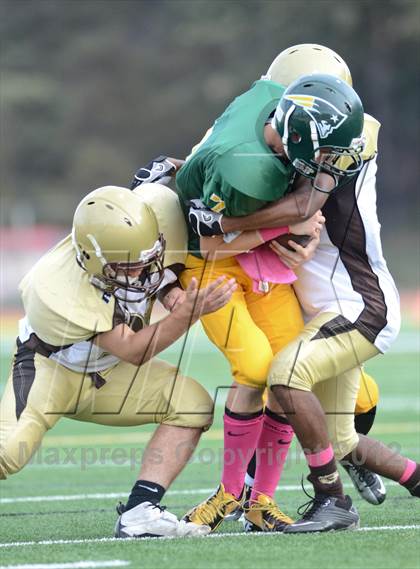 Thumbnail 1 in Serra @ Patrick Henry photogallery.
