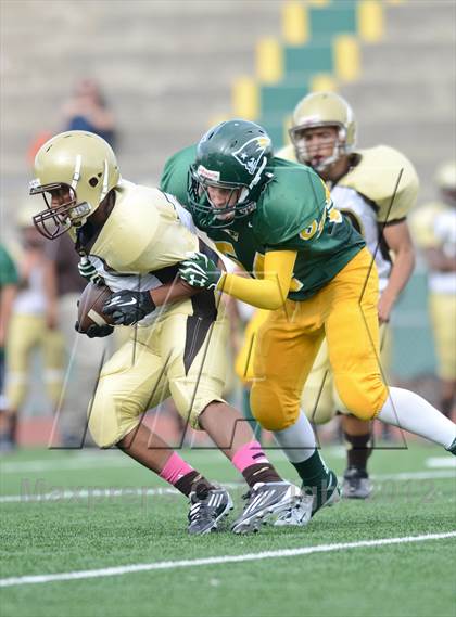 Thumbnail 2 in Serra @ Patrick Henry photogallery.