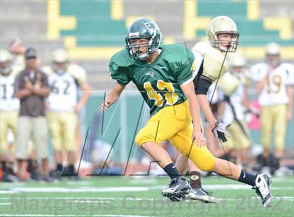Thumbnail 3 in Serra @ Patrick Henry photogallery.