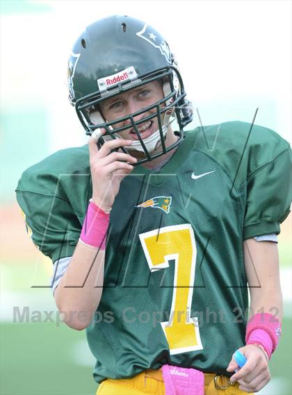 Thumbnail 3 in Serra @ Patrick Henry photogallery.