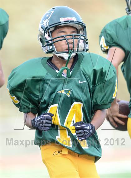 Thumbnail 2 in Serra @ Patrick Henry photogallery.