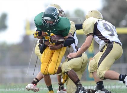 Thumbnail 2 in Serra @ Patrick Henry photogallery.