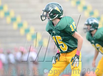 Thumbnail 3 in Serra @ Patrick Henry photogallery.