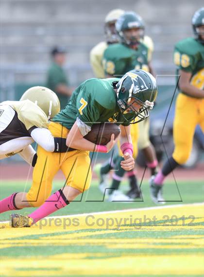 Thumbnail 2 in Serra @ Patrick Henry photogallery.