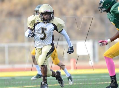 Thumbnail 3 in Serra @ Patrick Henry photogallery.