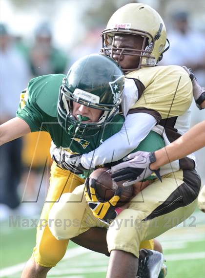 Thumbnail 3 in Serra @ Patrick Henry photogallery.