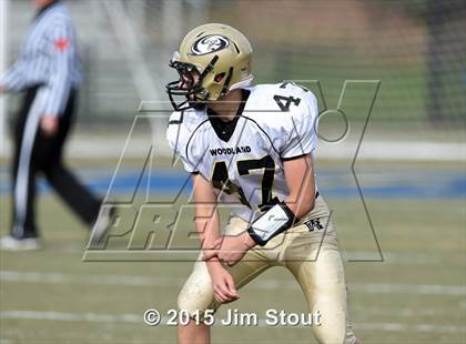 Thumbnail 3 in Woodland @ Sacred Heart/Kaynor Tech photogallery.