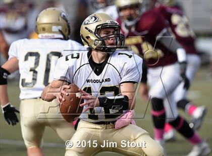 Thumbnail 3 in Woodland @ Sacred Heart/Kaynor Tech photogallery.