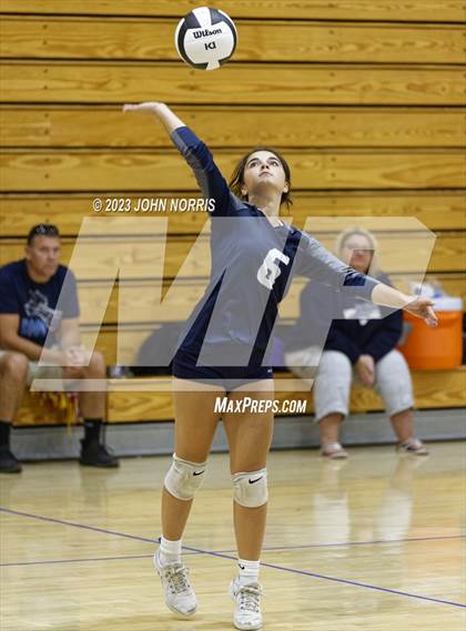 Thumbnail 3 in Leo vs Woodlan (Leo Invite) photogallery.